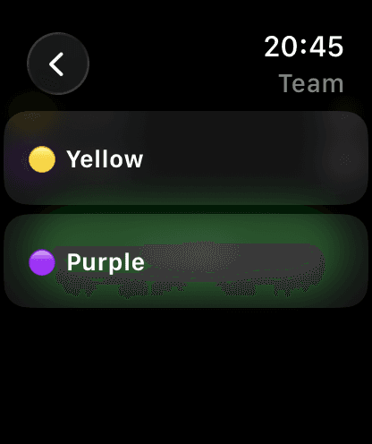 App screenshot 3